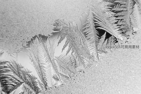 窗玻璃上精美的霜花结晶图案