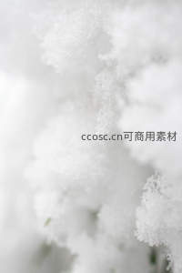 微距下的雪花晶体，纯净如梦