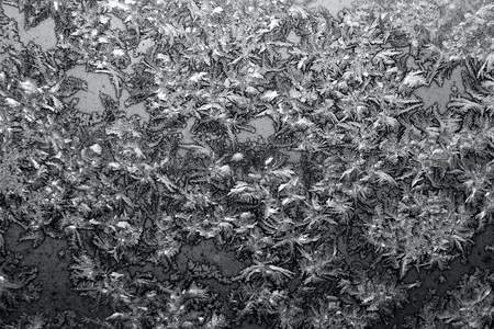 黑白窗霜花纹图案