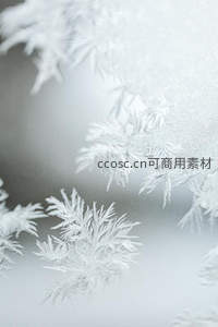 窗上霜花绽放，如水晶枝蔓般精致唯美