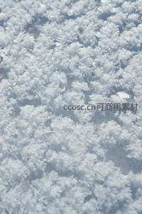 微距镜头下的霜花晶体世界