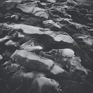 黑白礁石滩展现原始地质肌理