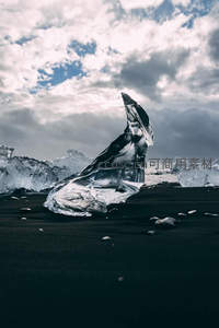 黑沙滩上的冰晶雕塑在云影下熠熠生辉