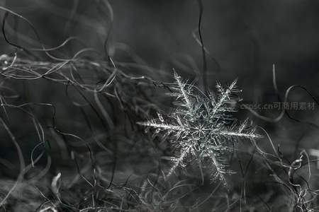 复杂丝线中闪耀的冰晶之花