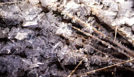 微距下的霜花世界，晶莹剔透如宝石