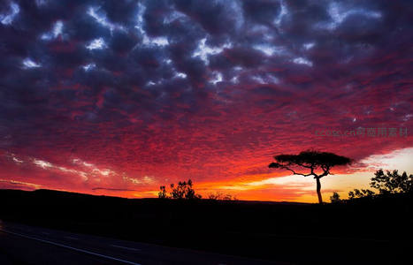 公路旁孤树剪影，血色晚霞染天际