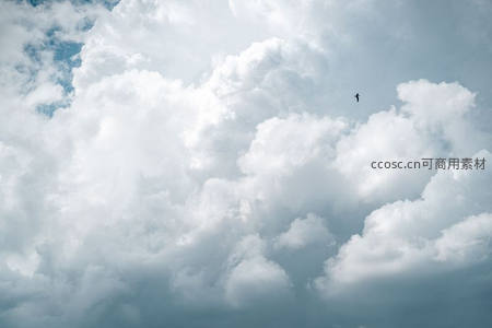 孤鸟翱翔于蓬松白云之间