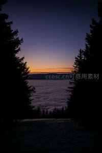 松林剪影框住云海日落