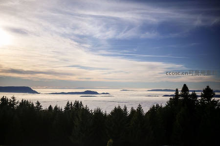 森林剪影远眺云海岛屿晨曦