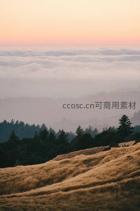 暮色温柔，云海漫过森林山丘