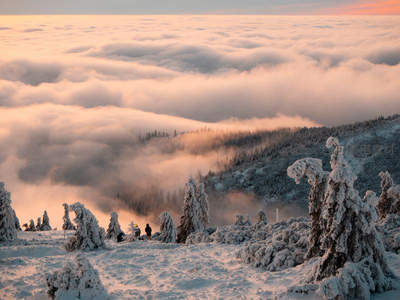 雪覆松林，云海翻涌，冬日奇景