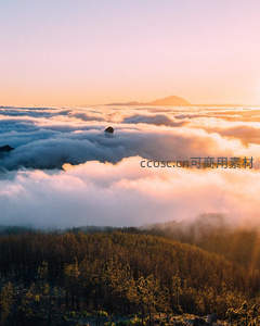 金色晨光穿透云海，森林山顶若隐若现