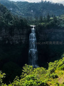 丛林深处飞瀑垂落，绿意盎然幽静深邃