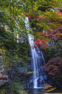 秋日红叶映瀑布，水雾缭绕如仙境