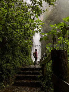 雨林秘境中徒步者仰望高耸瀑布