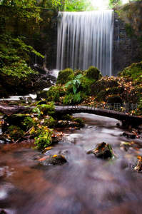 林间溪流轻抚青苔石块，瀑布如帘垂落幽谷