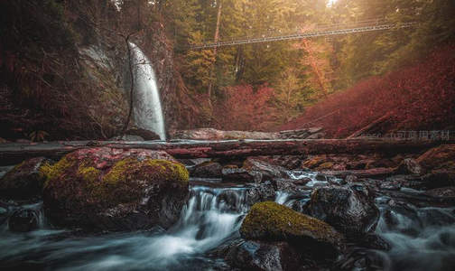 秋日森林吊桥横跨，溪流瀑布共谱诗篇