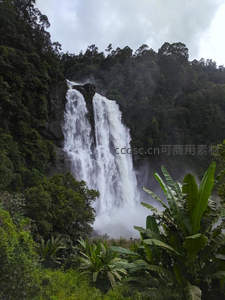 热带雨林中倾泻而下的壮观瀑布