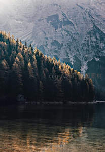 晨曦洒林梢，湖面波光映山峦