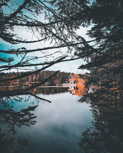 湖畔小屋静谧倒影，松枝框景如画