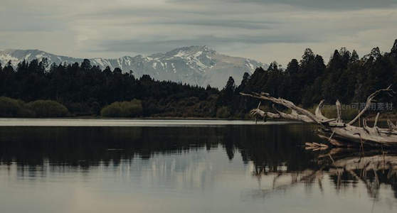 枯木静卧湖岸，远山雪顶如屏