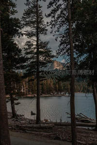 松林掩映湖光山色，静谧自然风光