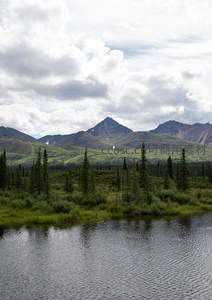 云影掠过山野间，湖畔松林映碧水