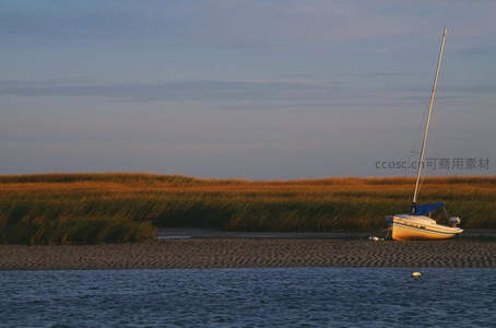 夕阳小舟静泊芦苇滩涂