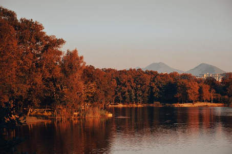 秋日湖岸红叶林，暖阳斜照山水间