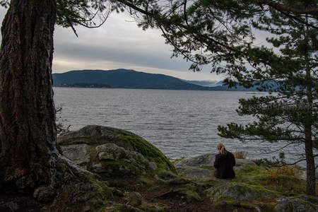 树影掩映湖畔石上，女子静坐凝望远山