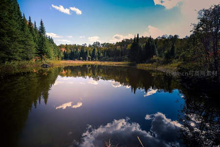 湖面如镜倒映蓝天白云与森林