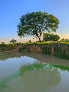 孤树临水映晚霞，静谧河岸风光