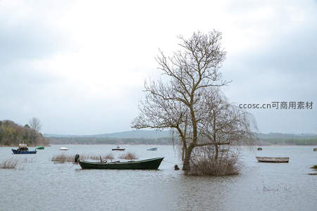 孤舟枯树，湖中静默时光