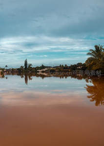 棕红河水倒映椰林与天空云影
