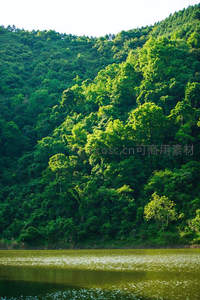 翠绿山林环抱碧水，阳光洒落生机盎然