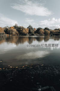 秋日湖畔静谧景，落叶浮水树影摇