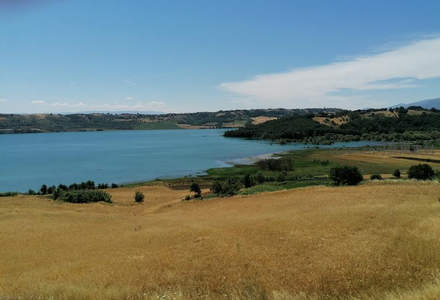 金色麦田湖光山色