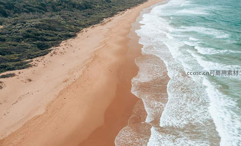 金色海岸线，绿林与碧海相拥