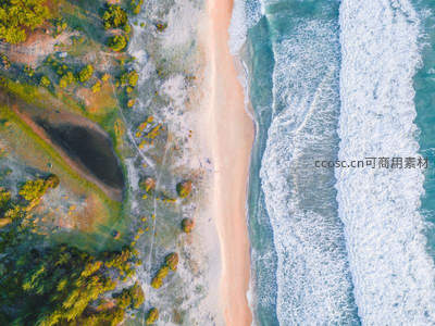 上帝视角瞰海岸，绿林白沙浪花舞