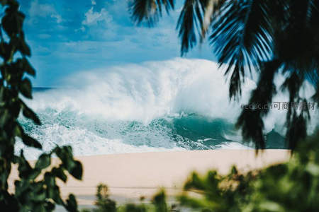 椰林掩映下的白色巨浪拍打沙滩