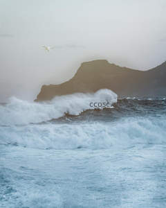 孤鸟掠过巨浪与山峦的苍茫之境