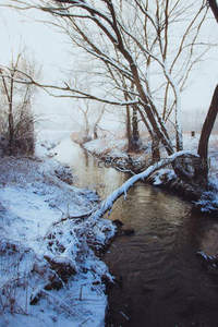 雪覆枯枝溪水潺潺冬日静谧景象
