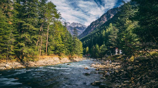 雪山脚下松林河，湍流奔涌入山谷