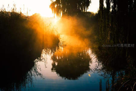 晨雾弥漫湖面，金色阳光穿透柳枝倒影