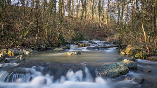 冬日溪谷静谧，长曝光下流水如雾似纱
