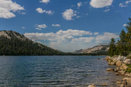 高山湖泊映蓝天白云，松林环抱静谧如画