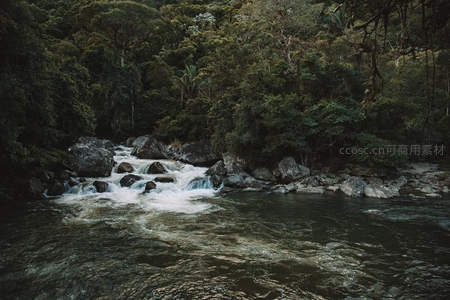 山涧溪流穿石而过，林木葱郁水声潺潺