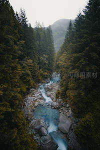 松林幽谷溪水长流，雾气缭绕如仙境画卷