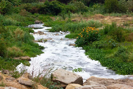 山涧溪流穿石而过，两岸绿植繁茂花盛
