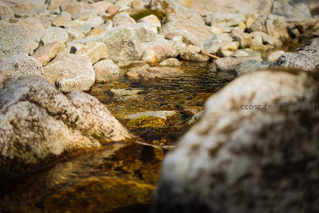 溪水穿石，光影斑驳的自然韵律